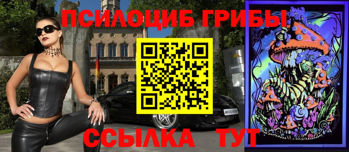 Псилоцибиновые грибы Psilocybe  Галлюциногенные грибы мицелий  Вход с VPN  Междуреченск 